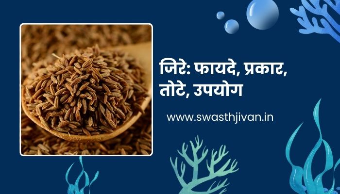 Cumin Seeds In Marathi