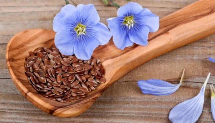 Disadvantages of Flax Seeds