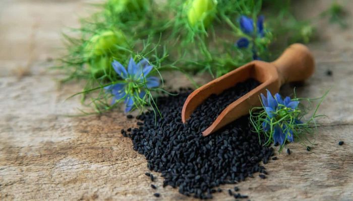 Health Benefits of Kalonji Seeds