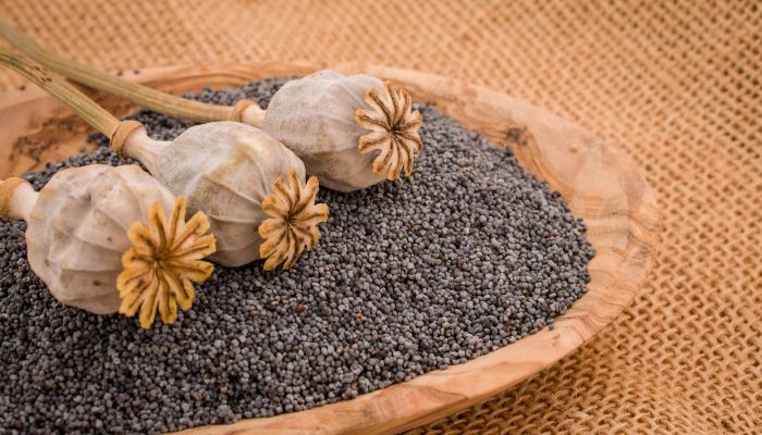 Health Benefits of Poppy Seeds in Marathi