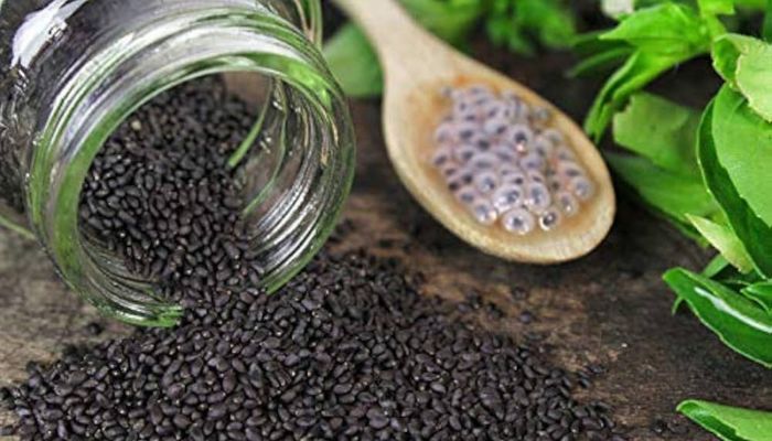What Is Basil Seeds