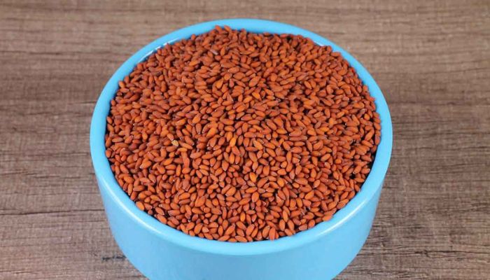 What is Halim Seeds