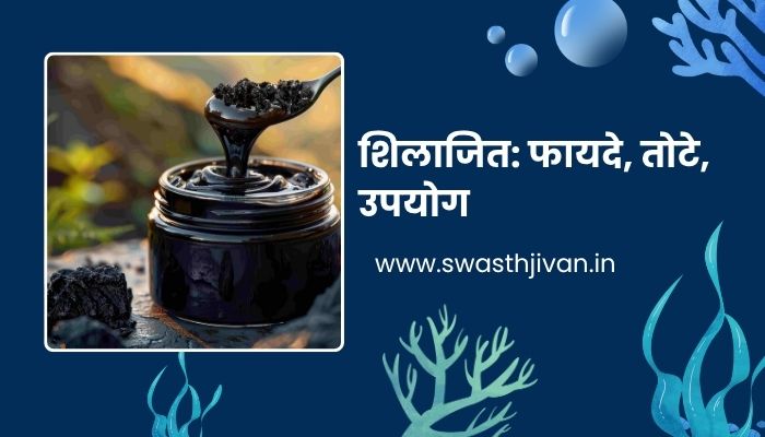 Shilajit Benefits In Marathi